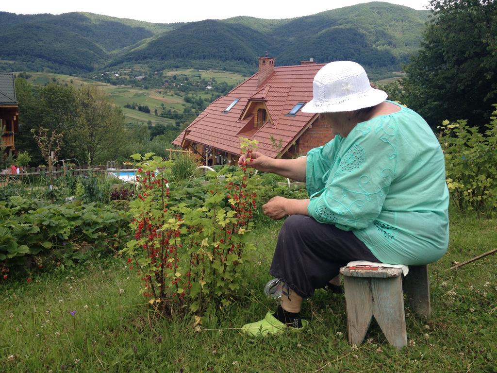 Sadyba Ertash Vyshka Bagian luar foto