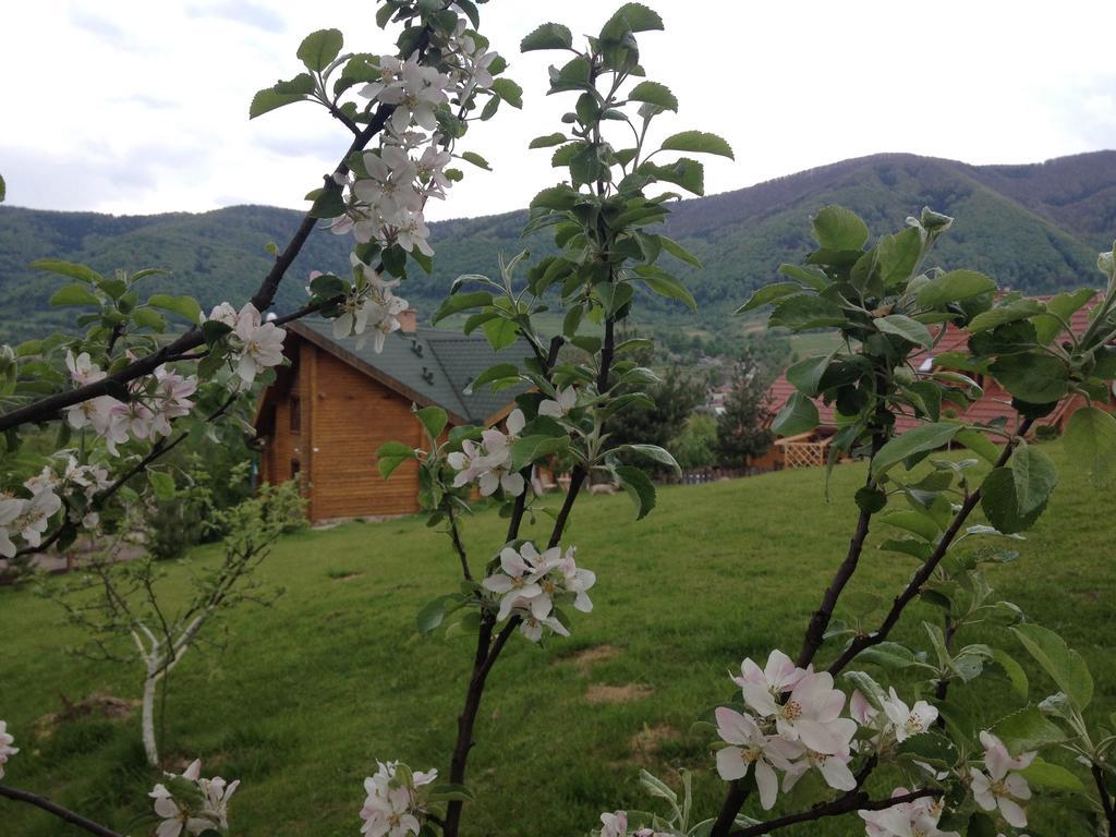 Sadyba Ertash Vyshka Bagian luar foto