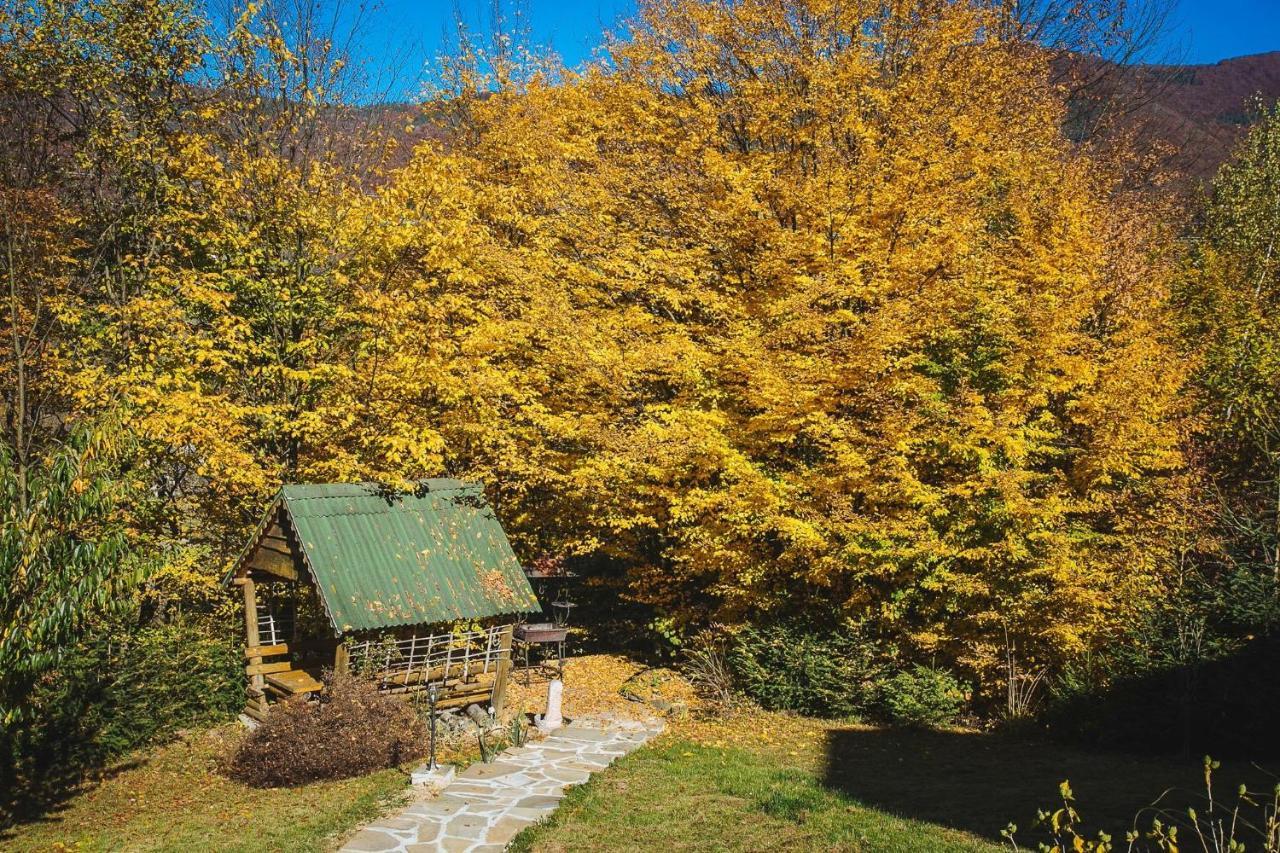 Sadyba Ertash Vyshka Bagian luar foto